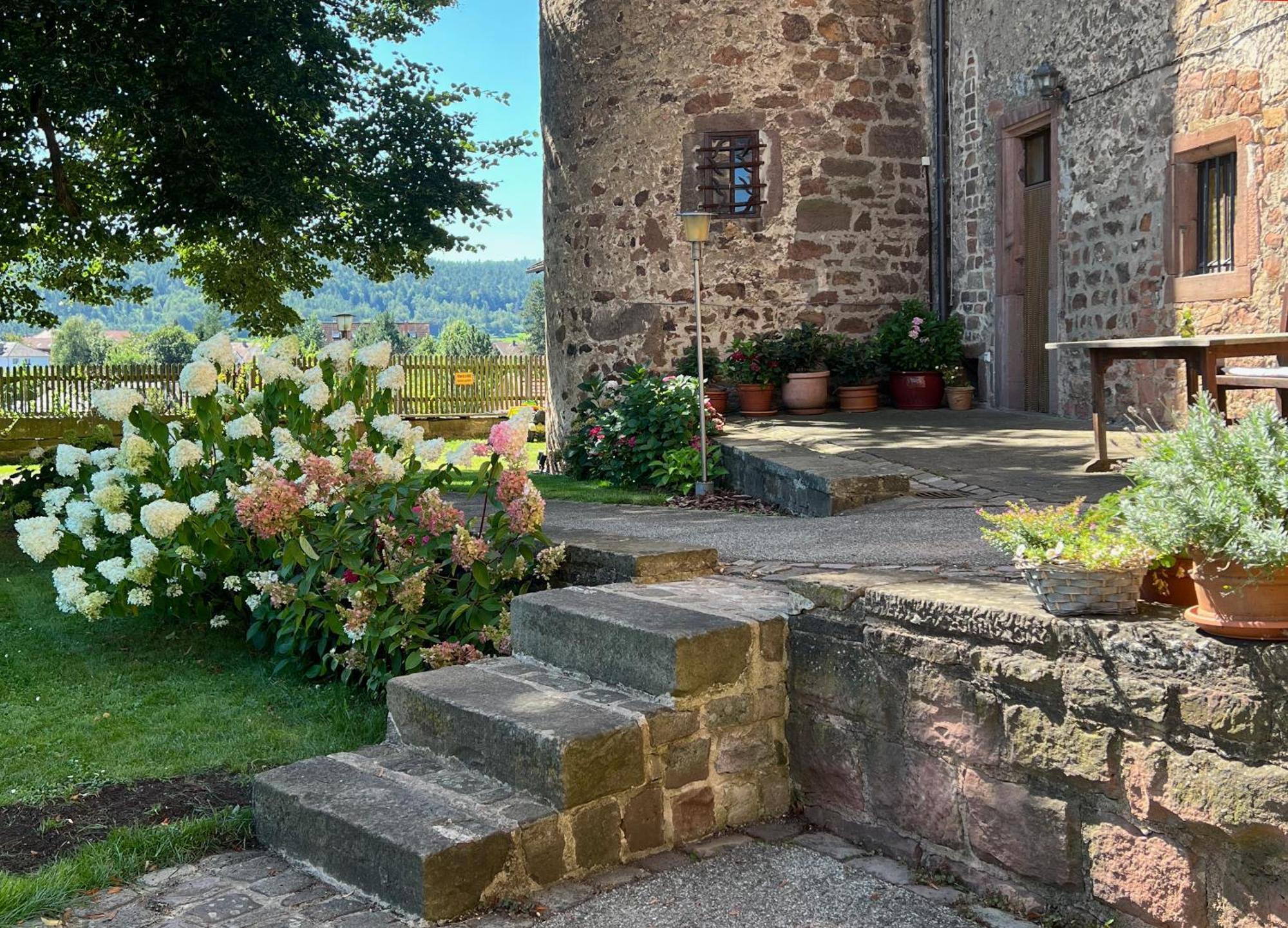 Graefin Anna - Design-Apartment In Der Historischen Hinterburg Schlitz - Nahe Fulda Und Bad Hersfeld Luaran gambar